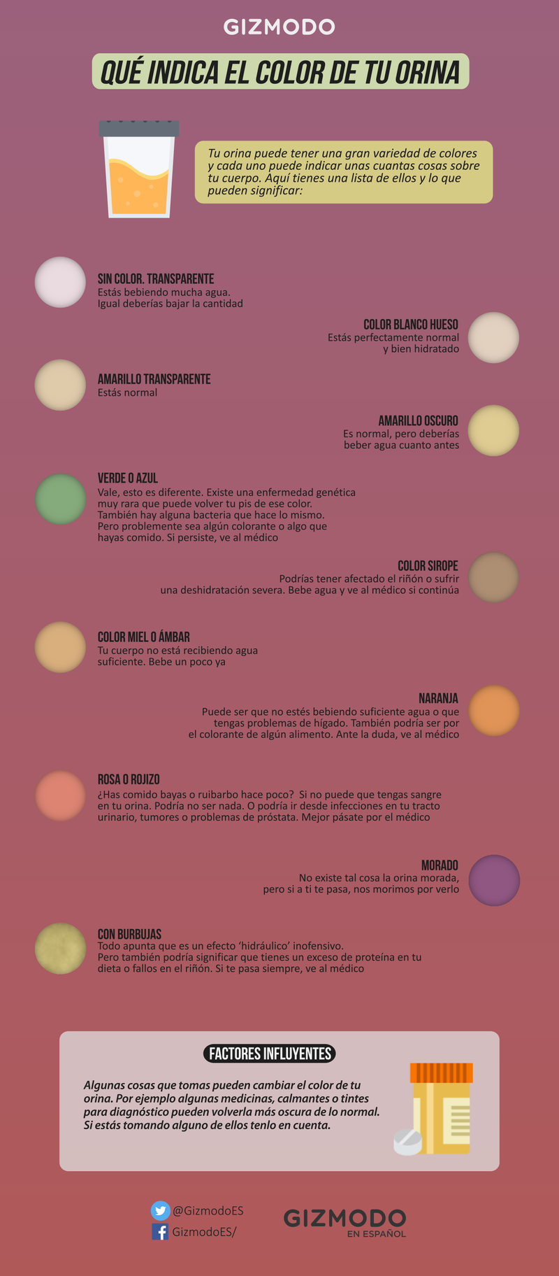 Illustration for article titled QuĂ© dice exactamente de tu salud el color de tu orina, explicado en una genial infografĂa